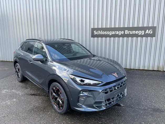 Cupra Terramar 2.0 TSI DSG 4Drive VZ