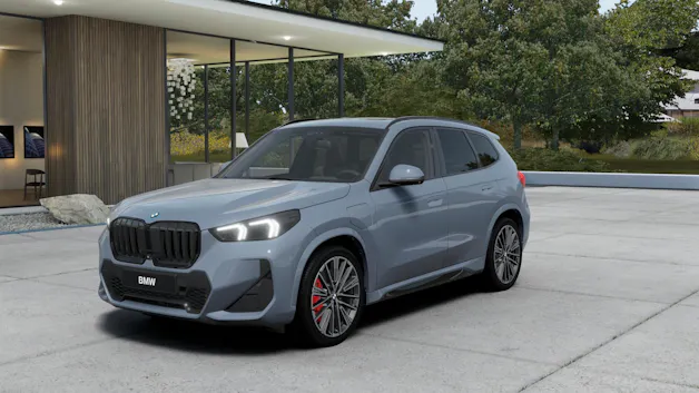 BMW X1 30e xDrive paddles