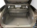 XPENG G6 87,5kWh Performance AWD