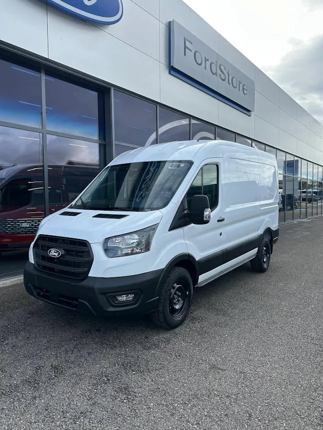 Ford Transit van 350 L2H2 2.0 EcoBl Trend/130CV
