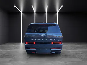 Hyundai Santa Fe 1.6 T-GDi PHEV Calligraphy Swiss Edition