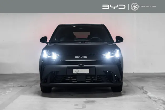 BYD Dolphin Surf Boost