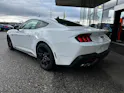 Ford Mustang Fastback 5.0 V8 GT Automat NITE PONY BLACK-PACK!