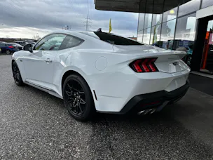 Ford Mustang Fastback 5.0 V8 GT Automat NITE PONY BLACK-PACK!