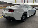 Ford Mustang Fastback 5.0 V8 GT Automat NITE PONY BLACK-PACK!