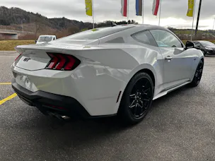 Ford Mustang Fastback 5.0 V8 GT Automat NITE PONY BLACK-PACK!