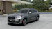 BMW X1 30e xDrive paddles