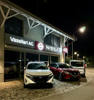 Nissan Qashqai 1.5 VC-T e-Power N-Connecta