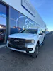 Ford Ranger dcab.pick-up 2.3 EcoBoo Wildtrack/PHEV