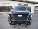 Cadillac Escalade Sport Platinum ESV