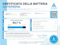 Volvo S60 2.0 T8 TE Polestar eAWD - Ruote invernali incluse