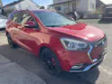 JAC e-S2 Luxury inkl. Batterie