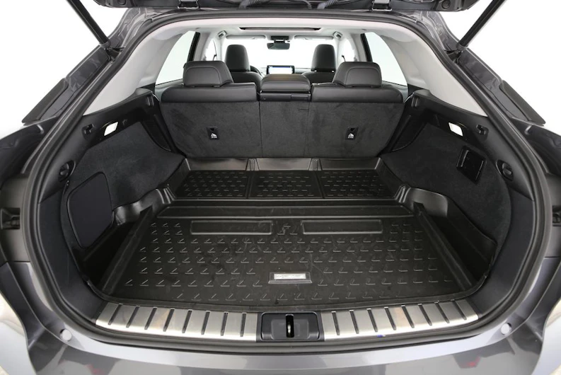 immagine del veicolo LEXUS RX