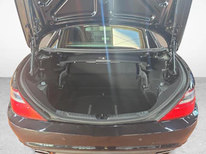 immagine del veicolo MERCEDES-BENZ SLK 250 Cabriolet