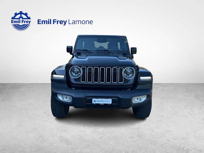 immagine del veicolo JEEP WRANGLER