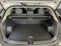 Kia EV3 81 kWh Earth