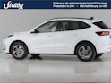 Ford Kuga 2.5 Hybrid ST-Line X 4x4