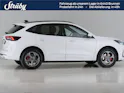 Ford Kuga 2.5 Hybrid ST-Line X 4x4