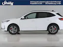 Ford Kuga 2.5 Hybrid ST-Line X 4x4