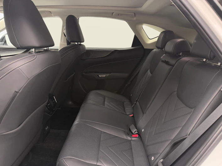 Fahrzeugbild LEXUS NX