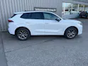 Cupra Terramar 1.5 eTSI Prime Edition DSG