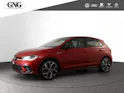 VW Polo 2.0 TSI GTI DSG