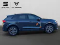 Cupra Terramar 2.0 TSI DSG 4Drive Business Edition
