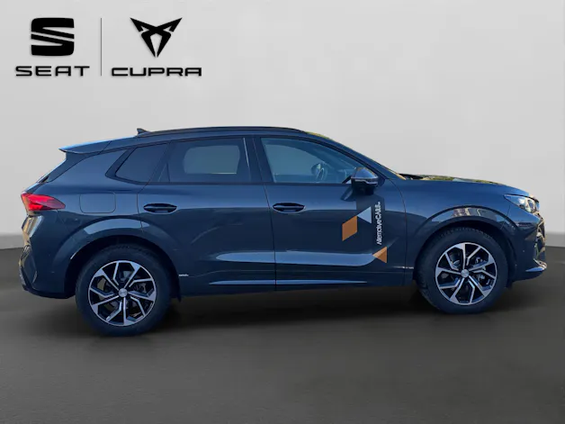 Cupra Terramar 2.0 TSI DSG 4Drive Business Edition