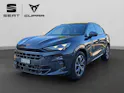 Cupra Terramar 2.0 TSI DSG 4Drive Business Edition