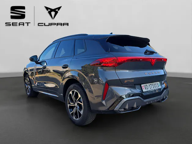 Cupra Terramar 2.0 TSI DSG 4Drive Business Edition