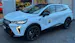 Mitsubishi Grandis 1.8 HEV Instyle