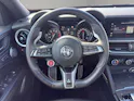 Alfa Romeo Stelvio 2.9 V6 Biturbo Q4 Quadrifoglio