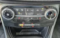 Ford Puma 1.0 EcoBoost Mild-Hybrid Vignale 155PS
