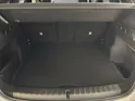 BMW X1 20d xDrive paddles