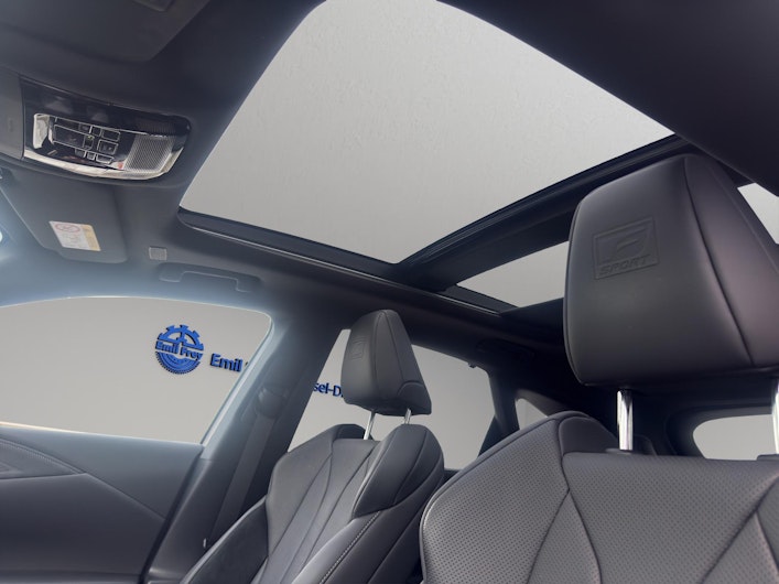 Fahrzeugbild LEXUS RX