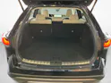 Lexus RX 450h+ Excellence