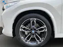BMW X1 xDrive 20d 48V M Sport