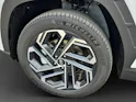 Hyundai Tucson 1.6 T-GDi HEV Vertex Swiss Edition 4WD