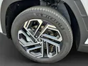 Hyundai Tucson 1.6 T-GDi HEV Vertex Swiss Edition 4WD
