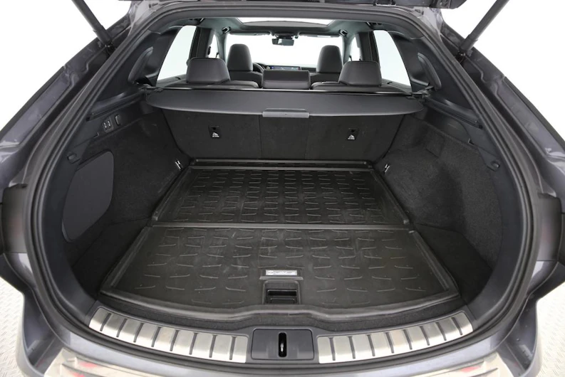 Fahrzeugbild LEXUS RX