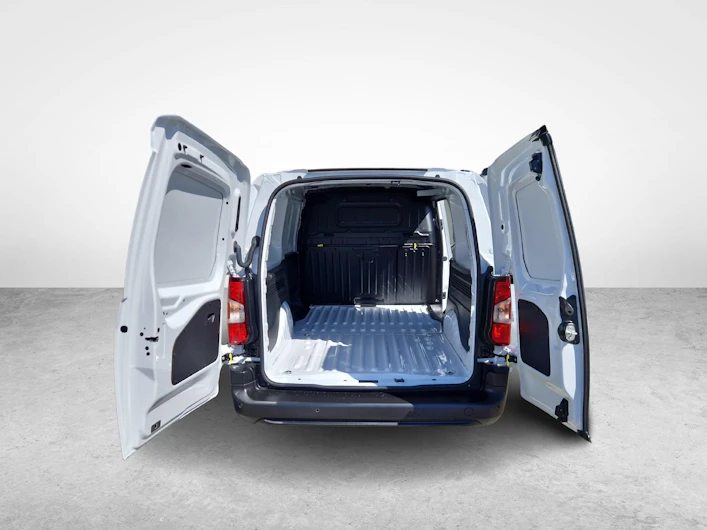 immagine del veicolo TOYOTA PROACE CITY