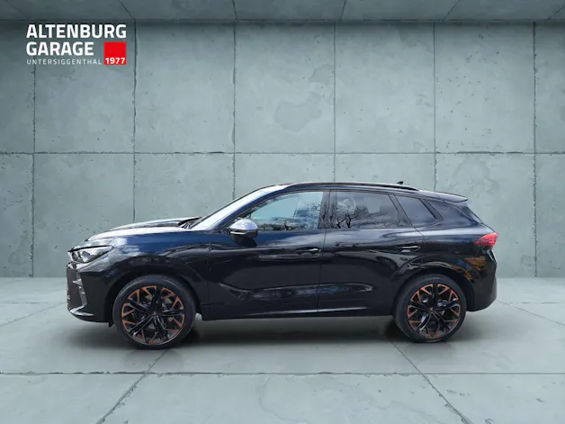Cupra Terramar 2.0 TSI DSG 4Drive VZ