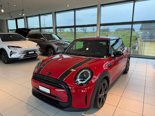 Mini Cooper Multitone EdDKG