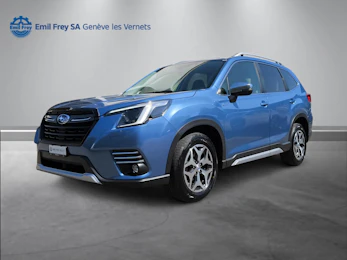 Fahrzeugbild SUBARU Forester Station 2.0i e-Boxer Swiss Plus Fahrzeugbild SUBARU Forester Station 2.0i e-Boxer Swiss Plus