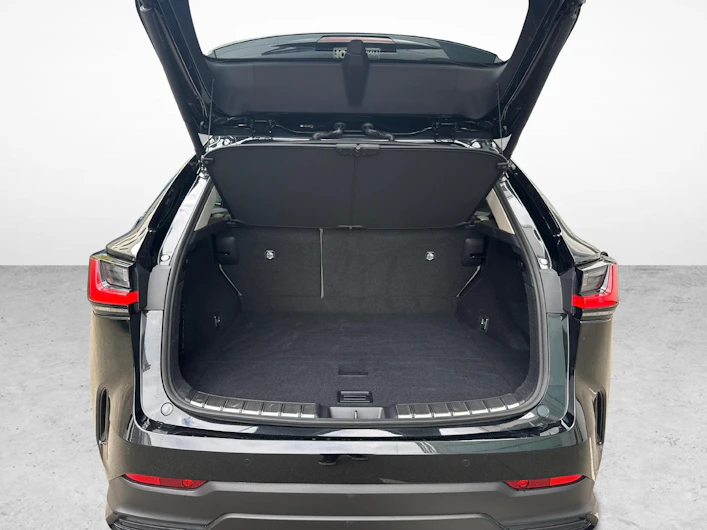 image du véhicule LEXUS NX