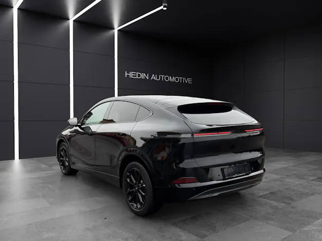 XPENG G6 Performance AWD