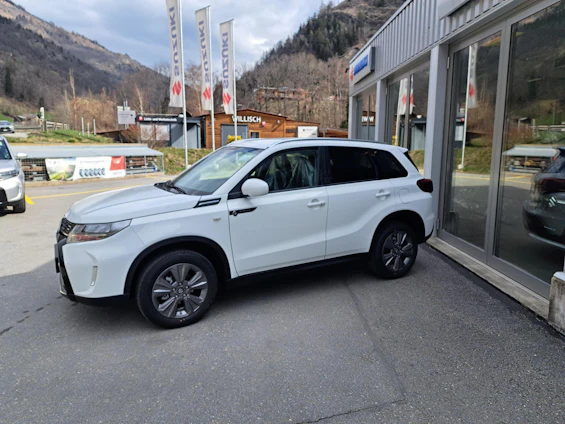 immagine del veicolo 2