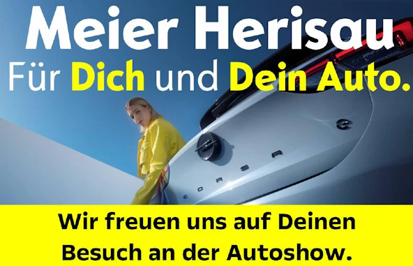 immagine del veicolo 6