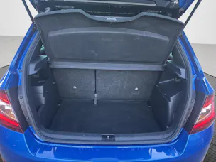 Škoda 1.0 TSI Monte-Carlo