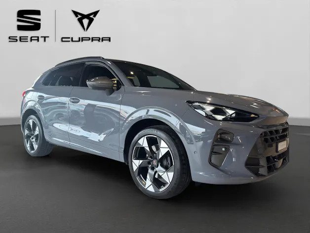 Cupra Terramar 2.0 TSI DSG 4Drive VZ